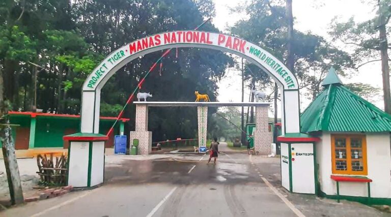 Safari Zones in Manas National Park