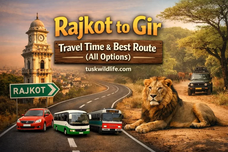 Rajkot to Gir Travel Time & Best Route (All Options)