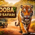 Tadoba Safari Guide