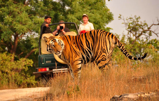 Photography Tours India